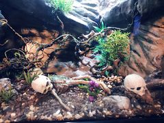 -成都浩海立方海洋公园