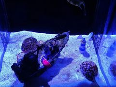 -邯郸海洋世界