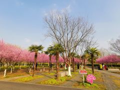 -白塘生态植物园