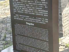 -上海佘山国家森林公园天马山园