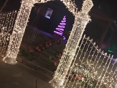 -枫花园汽车电影院(朝阳公园店)