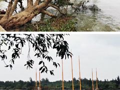 -蔡家宅