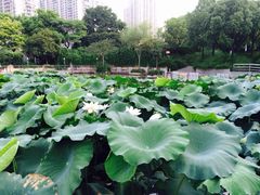 梦清园-苏州河梦清园环保主题公园