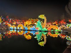 -淄博花灯齐彩城