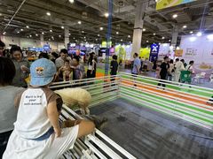-宁波国际会展中心