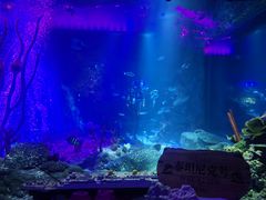 -沈阳海洋探索中心