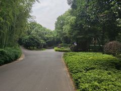 -苏州环秀晓筑养生度假村