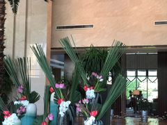 -常州环球恐龙城维景国际大酒店