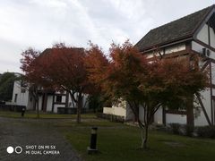 -太阳岛度假酒店