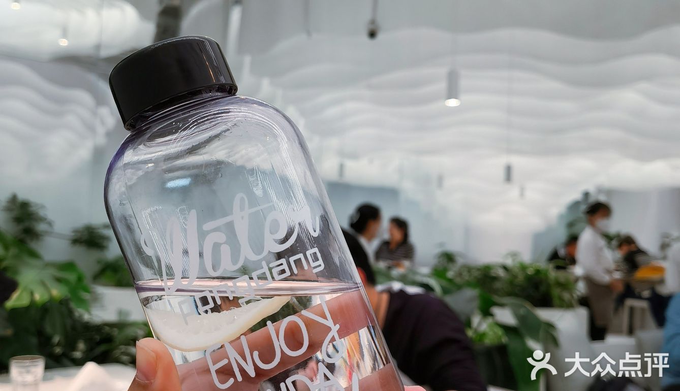 大树 | 为了它的美貌来吃它🌳好拍网红店