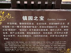 -朴园