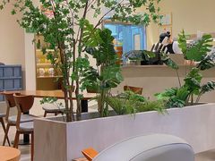 -森茶(湛江万达店)