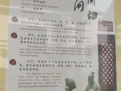 -广州神农草堂中医药博物馆