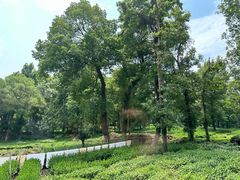 -野蔓果·山野菜(西湖景区·龙井茶田店)