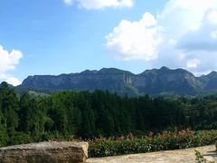 -重庆睡佛山森林公园