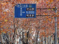 -灵谷景区