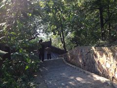 景点-焦山风景区