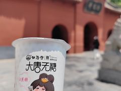 -洛阳白马寺