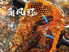 波士顿龙虾-盒马鲜生(皇庭广场店)