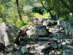 -阳台山自然风景区