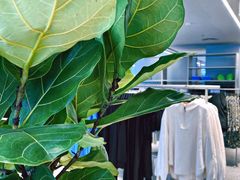 -ARKET CAFÉ(三里屯太古里店)