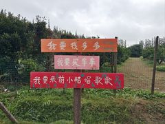 -前小桔亲子创意农场·草莓采摘·露营烧烤