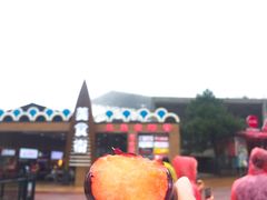 -梦幻奥陶纪景区