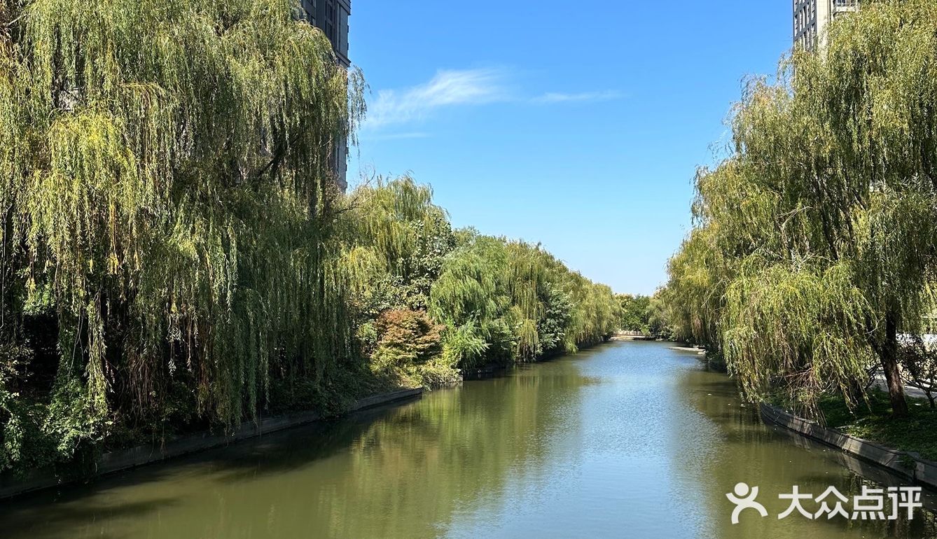 没有多好吃,但愿意为松弛感和阳光买单的店