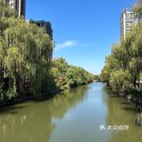 没有多好吃,但愿意为松弛感和阳光买单的店