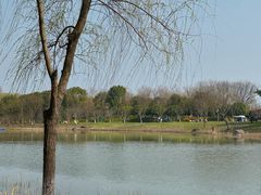 -贡湖湾湿地公园