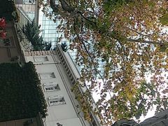 -中国福利会少年宫