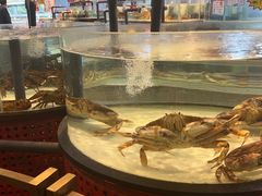 -万龙洲海鲜(南新仓店)