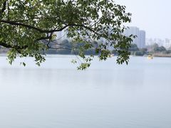 -洋湖国家湿地公园