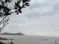 -普陀山雷迪森庄园