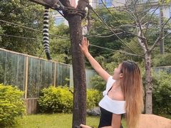 -灵玲国际马戏城