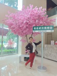 -晴川假日酒店·宴会厅·会议厅