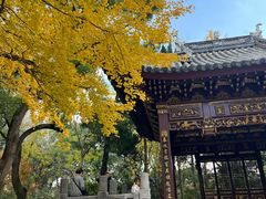 -汇龙潭