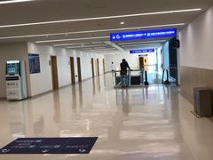 -上海市第四人民医院