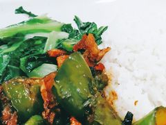 青椒回锅肉饭-都城快餐(都信店)