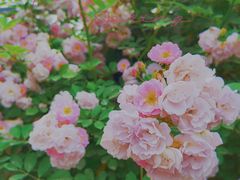 -渝蛙馆(新百店)