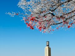 -亚布力新体委滑雪场