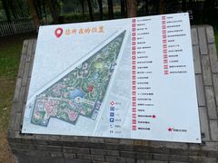 -曹州牡丹园