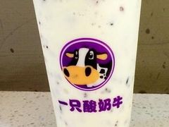 -一只酸奶牛(八一路店)