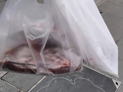 -邓氏兔头