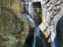 -牛背梁国家森林公园