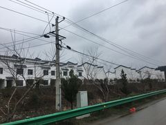 -崇阳三特浪口温泉