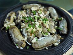 铁板蛏子-鹰龙海畔度假酒店(咸祥店)