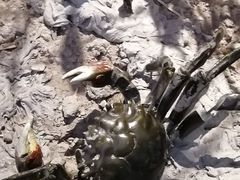 -上海长江河口科技馆