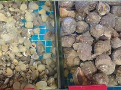 -金海湾海鲜排档(朱家尖店)