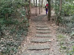 -新江湾城公园